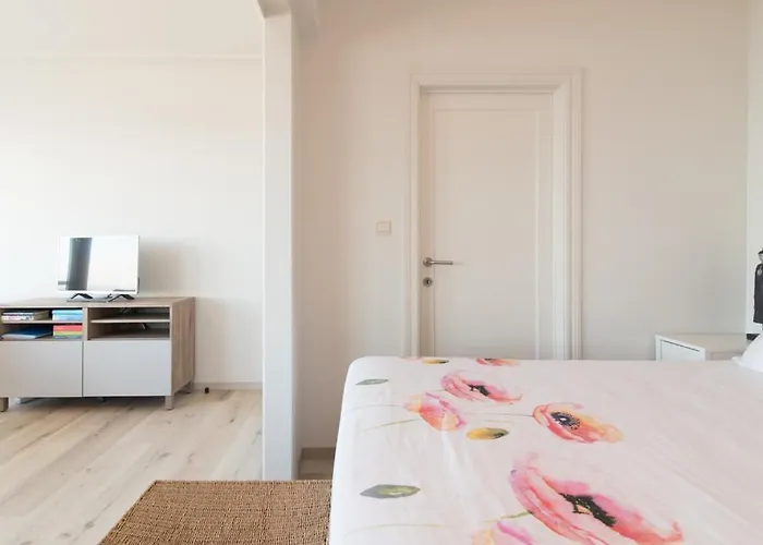 Lecomte - The Shoreline 95 奥斯滕德