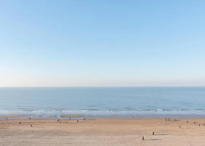 Lecomte - The Shoreline 95