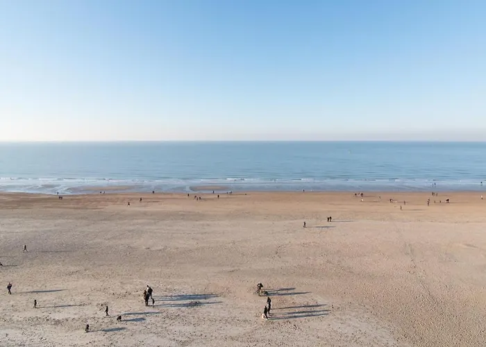 Lecomte - The Shoreline 95 公寓